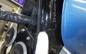 KAWASAKI Z1000 LIMITED 2025