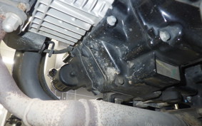 HONDA DAX 125 JB06