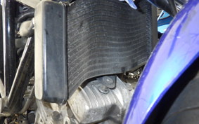 HONDA VTR 250 MC33