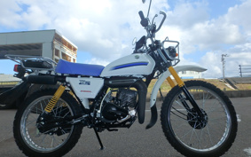 SUZUKI TF125 TF125