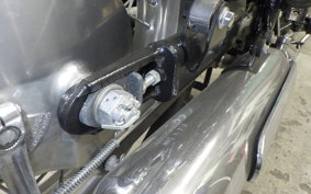 KAWASAKI W800 2011 EJ800A