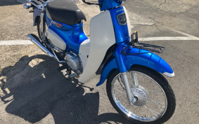 HONDA SUPER CUB110 JA44