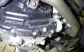 YAMAHA MAXAM 250 SG21J