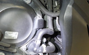 HONDA FORZA 250 2023 MF13