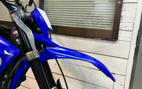 YAMAHA WR250X DG15J