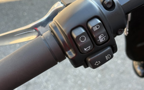 HARLEY FLHCS 2024 YBK