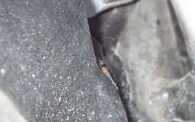 HONDA GYRO CANOPY 2021 TA03