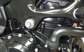 BMW FF900R 2020