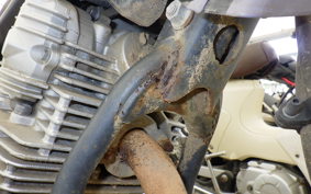 YAMAHA TRICKER DG10J