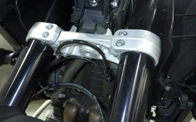 TRIUMPH TIGER 1200 GT PRO 2024