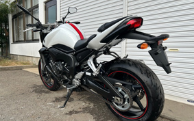 YAMAHA FZ1 FAZER N 2009 RN21J