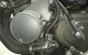 HONDA HORNET 250 2008 MC31