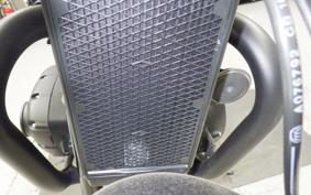 TRIUMPH BONNEVILLE T100 2019