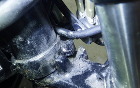 YAMAHA RZ 250 2009 4L3