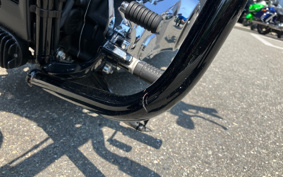 HARLEY FXBRS 2018 YHK