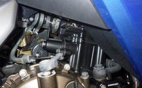 SUZUKI GIXXER 250 SF 2024