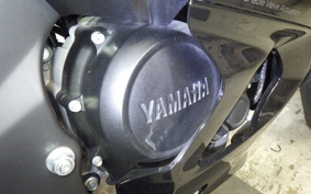 YAMAHA YZF-R15 2006 RG86J