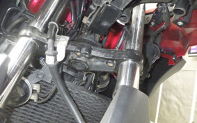 SUZUKI Vｽﾄﾛｰﾑ250 2010