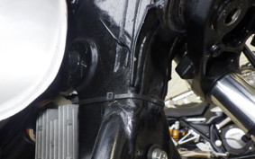 YAMAHA TT250R RAID 4GY