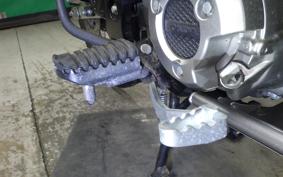 HONDA CT125 HUNTER CUB 2019 JA55