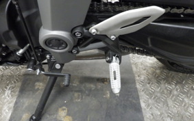 TRIUMPH DAYTONA660 2026
