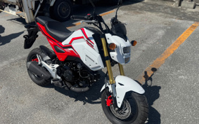 HONDA GROM JC75
