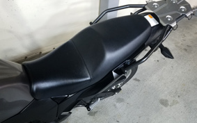 KAWASAKI VERSYS-X 250 LE250D