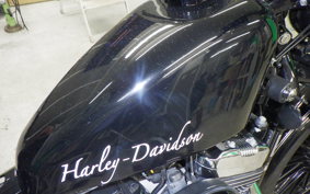 HARLEY L1200LI 2010
