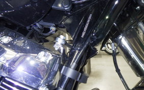 HARLEY FLTRX1920 2025