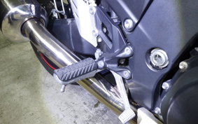 KAWASAKI ZX 1400 NINJA 2010