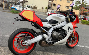 YAMAHA XSR900 GP 2024 RN96J