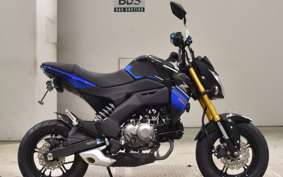 KAWASAKI Z125 PRO BR125H