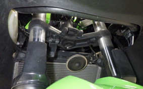 KAWASAKI NINJA 250 EX250L
