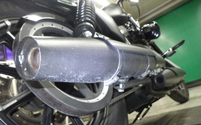 HARLEY XL883N 2020