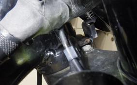 OTHER ENFIELD メテオ350 2022