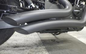 OTHER +HD. XL1200X 2015