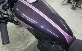 OTHER +HD. XL1200X 2010