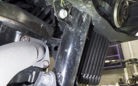 SUZUKI ｼﾞｸｻｰ250 2023 ED22Y