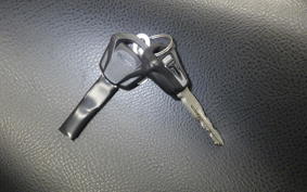 TRIUMPH SPEED TWIN 2022