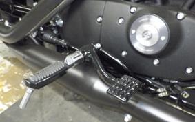 HARLEY XL883N 2021