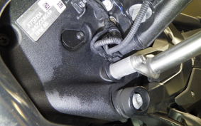 BMW R1300GS 2024