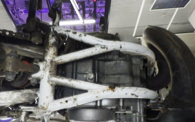 HONDA CRM250R GEN 2 MD24