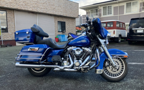 HARLEY HARLEY FLHTC 2010 FF4