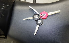 YAMAHA FZ1 FAZER 2009 RN21J