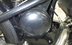 OTHER THUNDER 250 2024