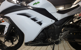 KAWASAKI NINJA 250 EX250L