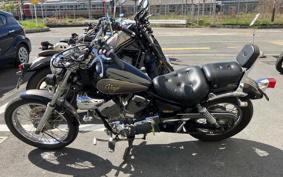 YAMAHA VIRAGO 250 3DM