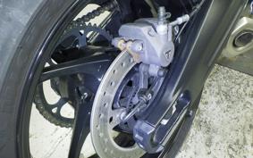 TRIUMPH TRIDENT 660 2024