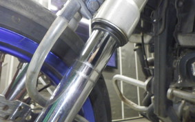 KAWASAKI KLX250D TRACKER X LX250V