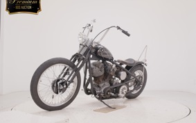 OTHER +UNREGISTERED MODEL by BDS1200 2015